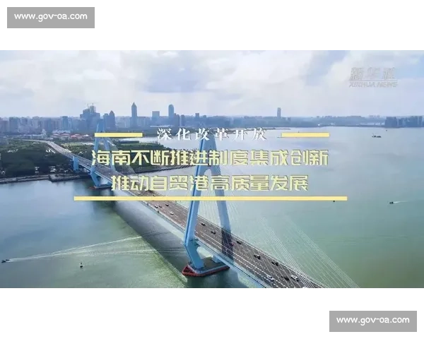 整体推进发展战略，构建高质量协同创新与可持续发展体系